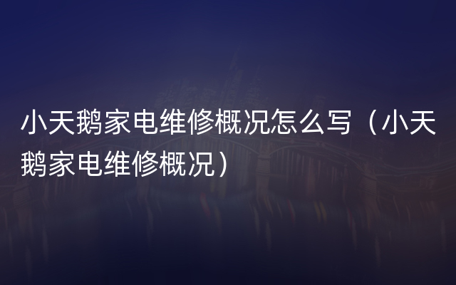 小天鹅家电维修概况怎么写（小天鹅家电维修概况）