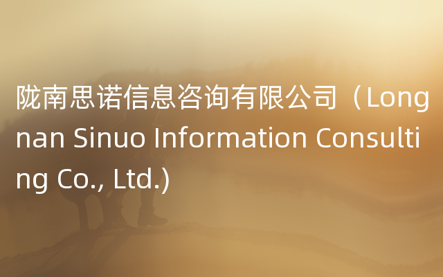 陇南思诺信息咨询有限公司（Longnan Sinuo Information Consulting Co., Ltd.)