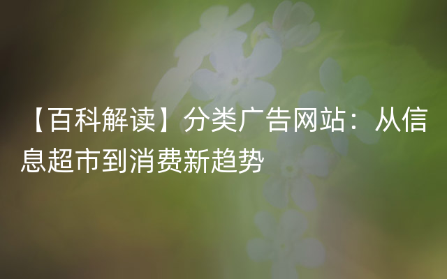 【百科解读】分类广告网站：从信息超市到消费新趋势