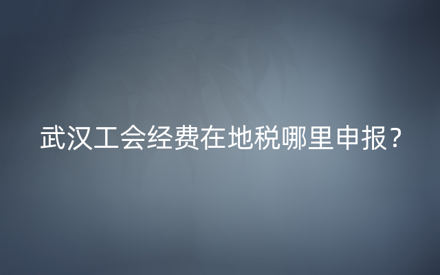 武汉工会经费在地税哪里申报？