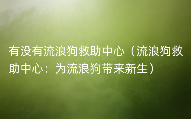 有没有流浪狗救助中心（流浪狗救助中心：为流浪狗