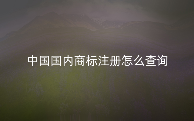 中国国内商标注册怎么查询