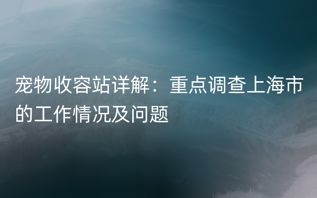 宠物收容站详解：重点调查上海市的工作情况及问题