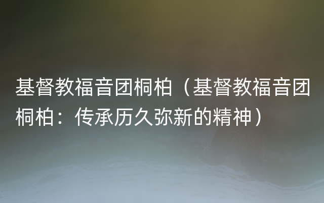 基督教福音团桐柏（基督教福音团桐柏：传承历久弥新的精神）