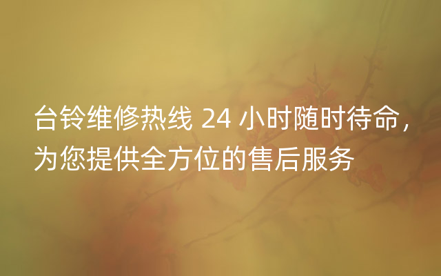 台铃维修热线 24 小时随时待命，为您提供全方位的售后服务