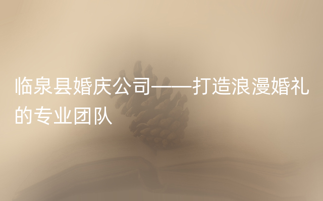 临泉县婚庆公司——打造浪漫婚礼的专业团队