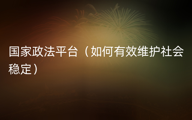 国家政法平台（如何有效维护社会稳定）