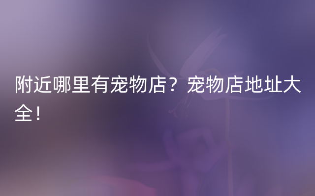 附近哪里有宠物店？宠物店地址大全！