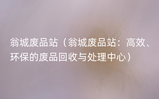 翁城废品站（翁城废品站：高效、环保的废品回收与处理中心）