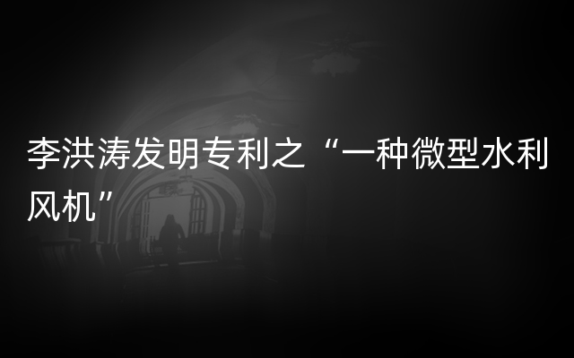 李洪涛发明专利之“一种微型水利风机”