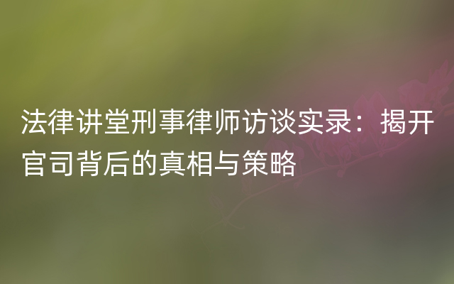 法律讲堂刑事律师访谈实录：揭开官司背后的真相与策略