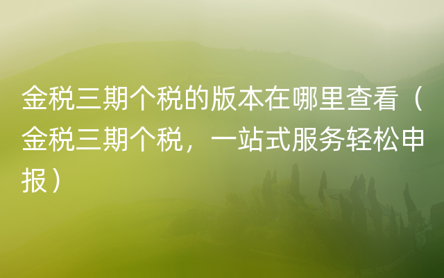 金税三期个税的版本在哪里查看（金税三期个税，一