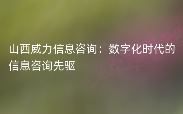 山西威力信息咨询：数字化时代的信息咨询先驱