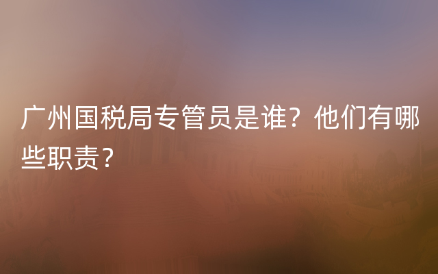 广州国税局专管员是谁？他们有哪些职责？