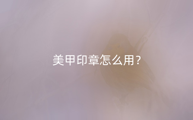 美甲印章怎么用？