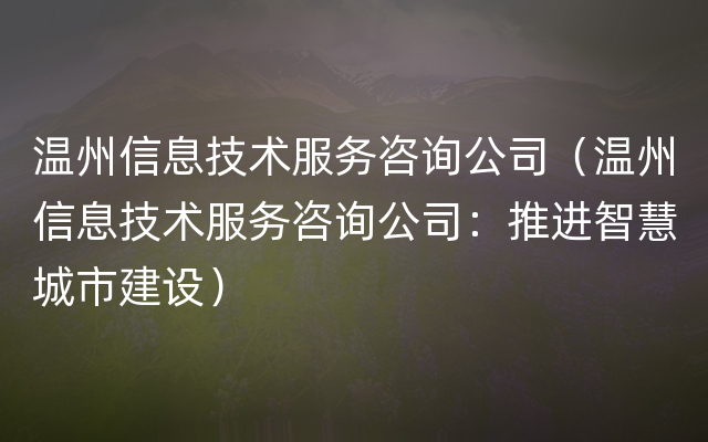 温州信息技术服务咨询公司（温州信息技术服务咨询公司：推进智慧城市建设）