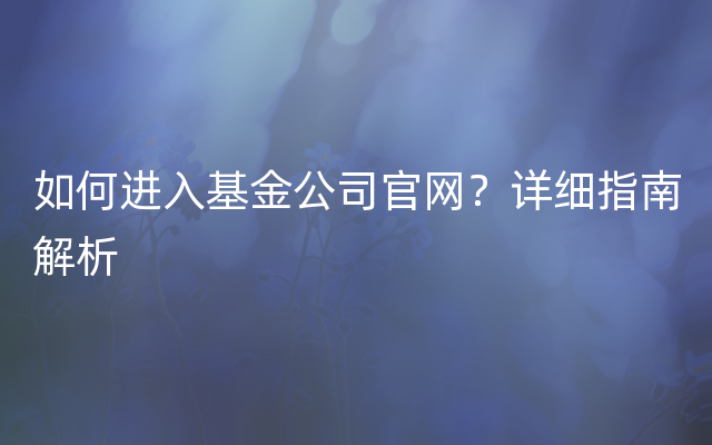 如何进入基金公司官网？详细指南解析