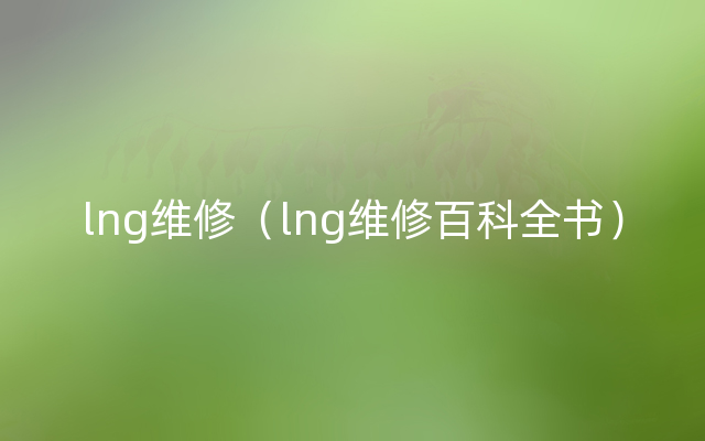 lng维修（lng维修百科全书）