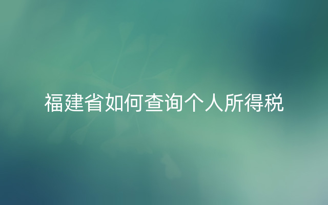 福建省如何查询个人所得税