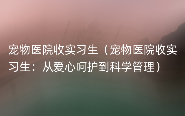 宠物医院收实习生（宠物医院收实习生：从爱心呵护到科学管理）