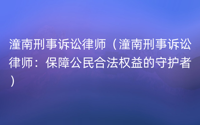 潼南刑事诉讼律师（潼南刑事诉讼律师：保障公民合法权益的守护者）