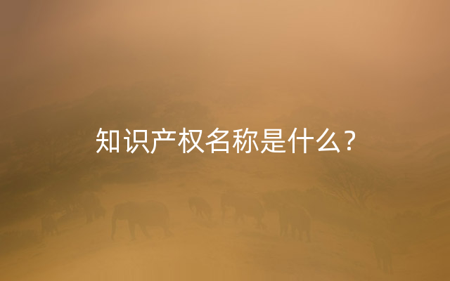 知识产权名称是什么？