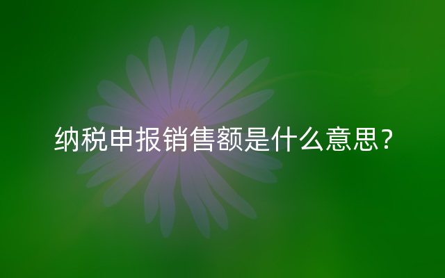 纳税申报销售额是什么意思？