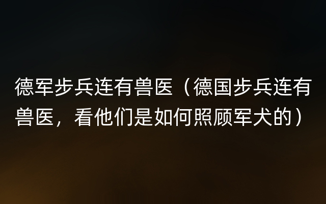 德军步兵连有兽医（德国步兵连有兽医，看他们是如何照顾军犬的）