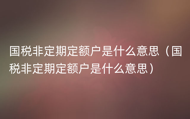 国税非定期定额户是什么意思（国税非定期定额户是什么意思）