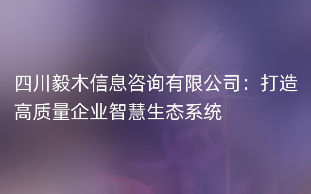 四川毅木信息咨询有限公司：打造高质量企业智慧生态系统