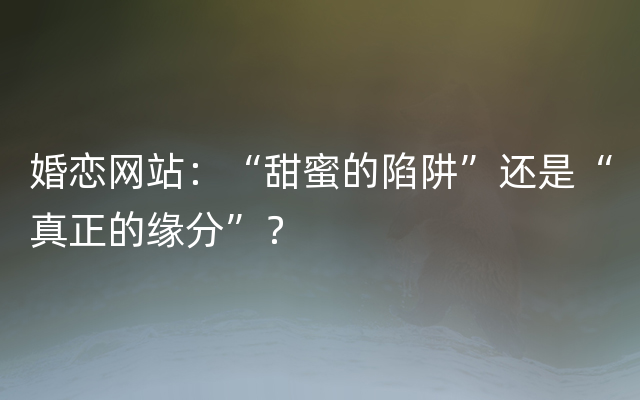 婚恋网站：“甜蜜的陷阱”还是“真正的缘分”？