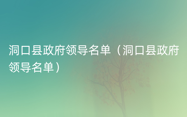 洞口县政府领导名单（洞口县政府领导名单）