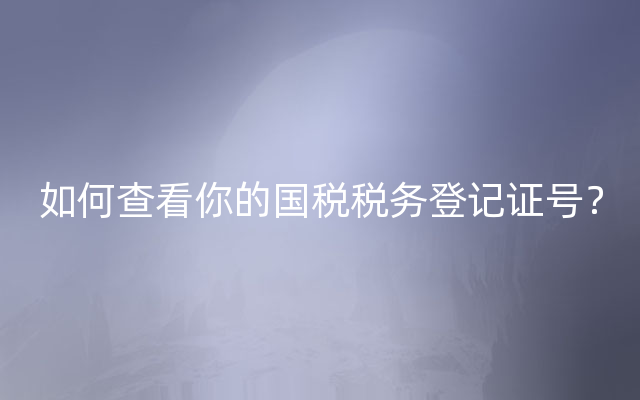 如何查看你的国税税务登记证号？