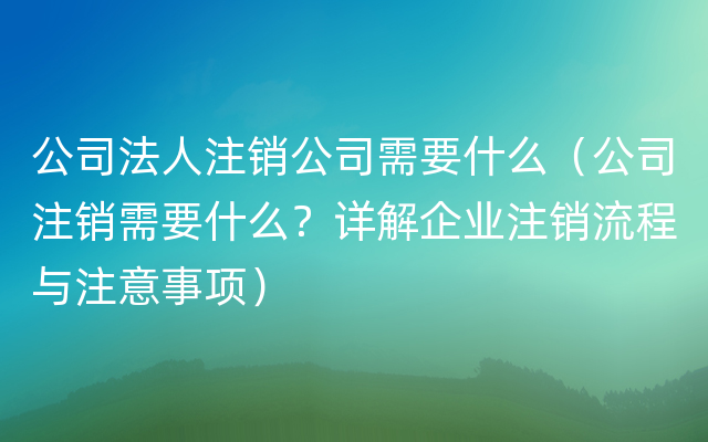 公司法人注销公司需要什么（公司注销需要什么？详解企业注销流程与注意事项）