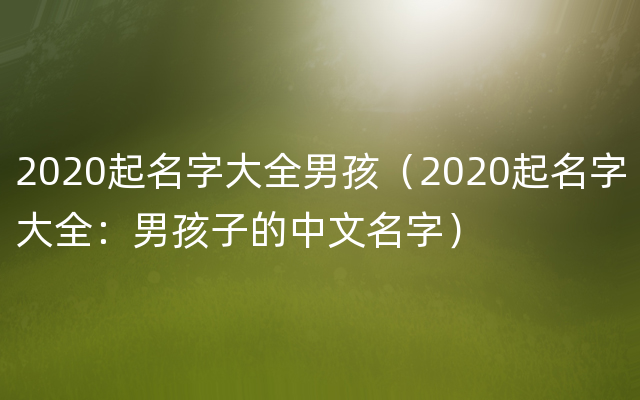 2020起名字大全男孩（2020起名字大全：男孩子的中文名字）