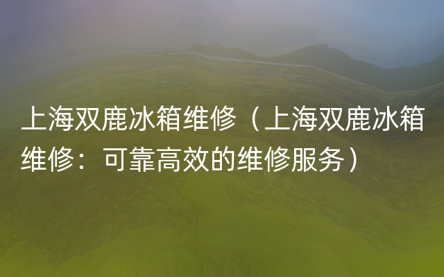 上海双鹿冰箱维修（上海双鹿冰箱维修：可靠高效的维修服务）