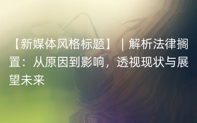 【新媒体风格标题】︱解析法律搁置：从原因到影响，透视现状与展望未来