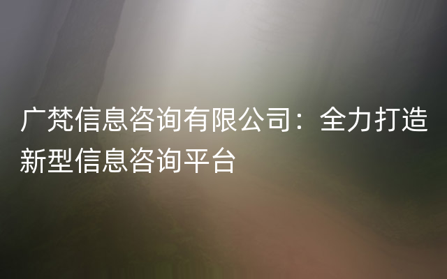 广梵信息咨询有限公司：全力打造新型信息咨询平台