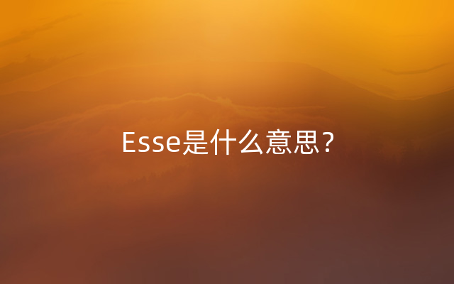 Esse是什么意思？