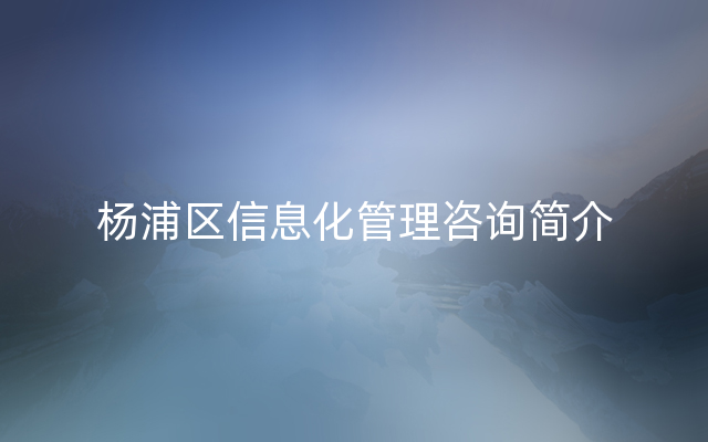 杨浦区信息化管理咨询简介