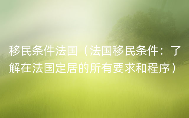 移民条件法国（法国移民条件：了解在法国定居的所有要求和程序）