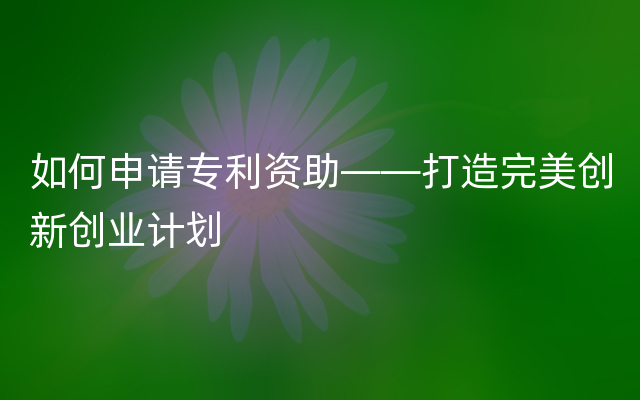 如何申请专利资助——打造完美创新创业计划